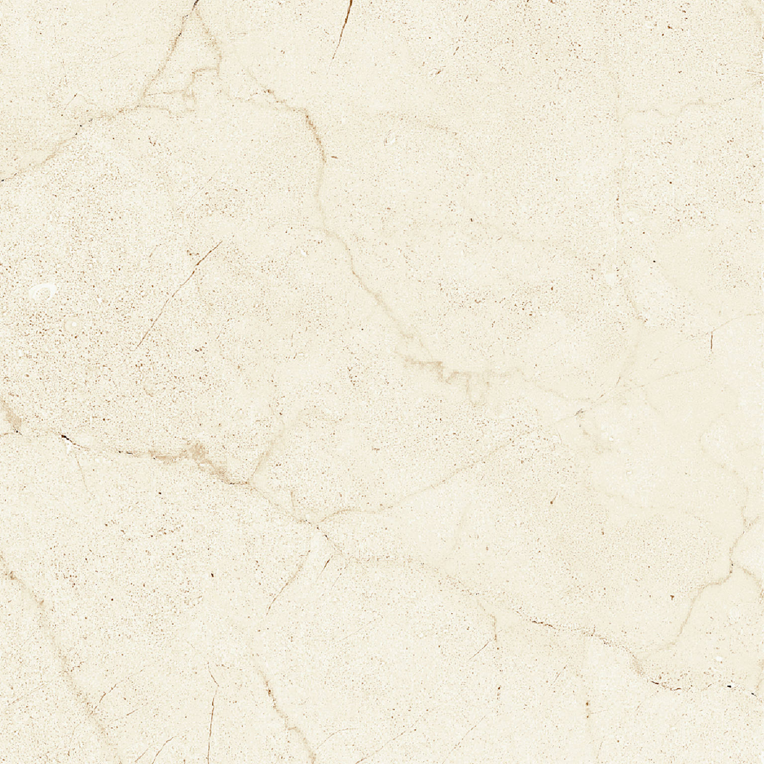 ANCONA CHEVRON White