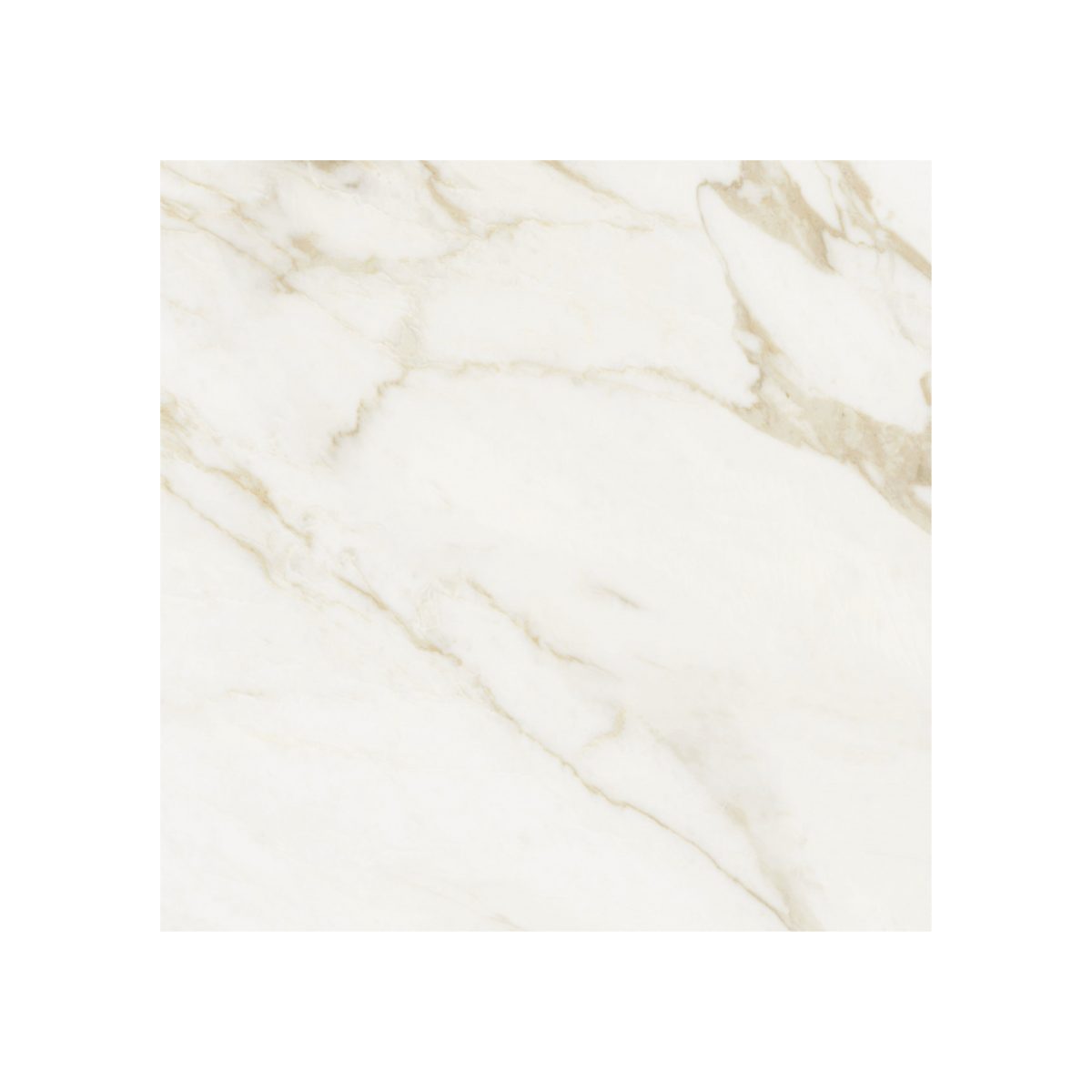 ADAGGIO GOLD POLI 260X120 6 MM B=1PCS