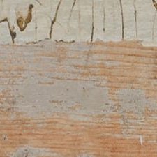 UNIQUE WHITE 100X100 B=1.98M²