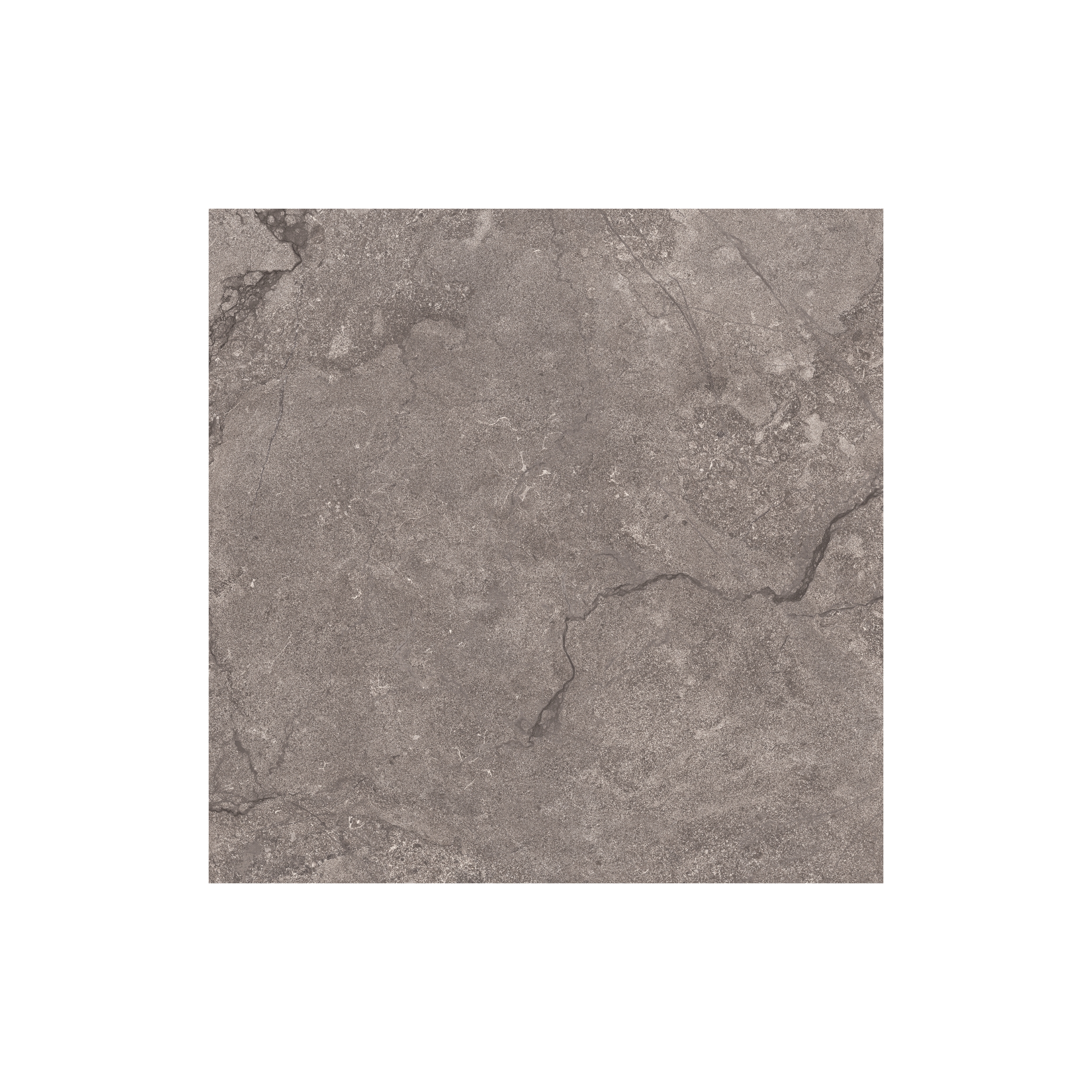 ENDORS MOSS 23X120 B=1.12 M²