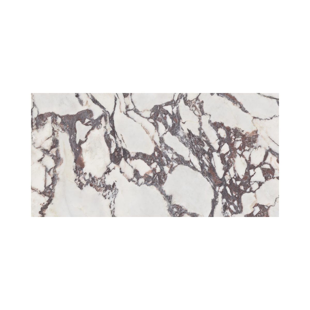 Carrelage marbre LUX Viola 60×120