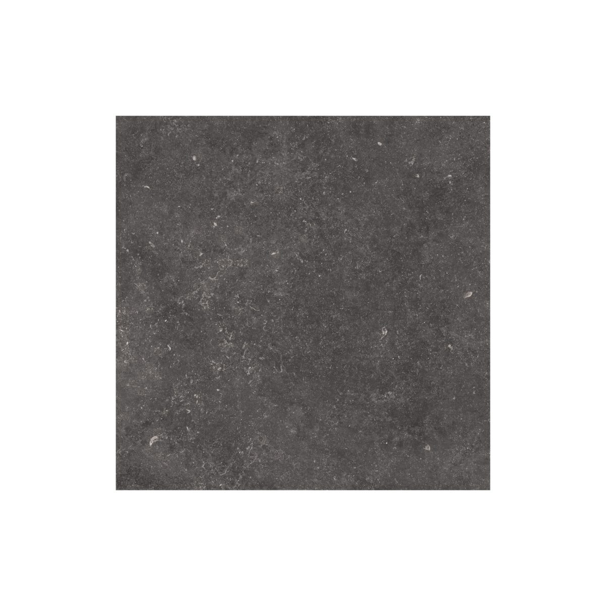 Carrelage pierre Namur Foncé