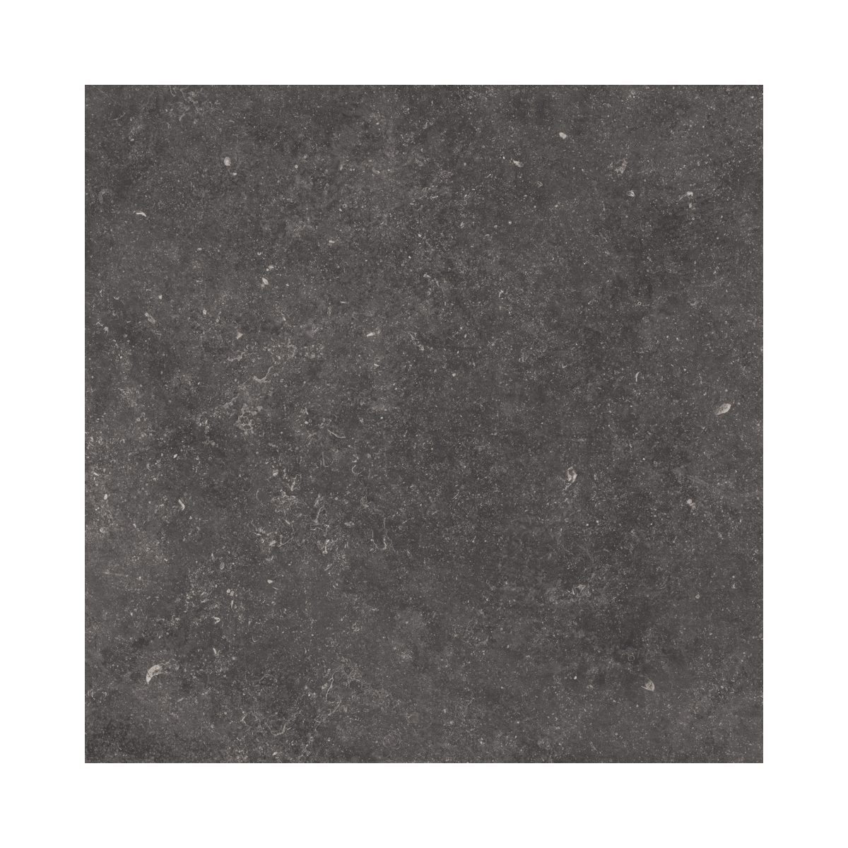 Carrelage pierre Namur Foncé