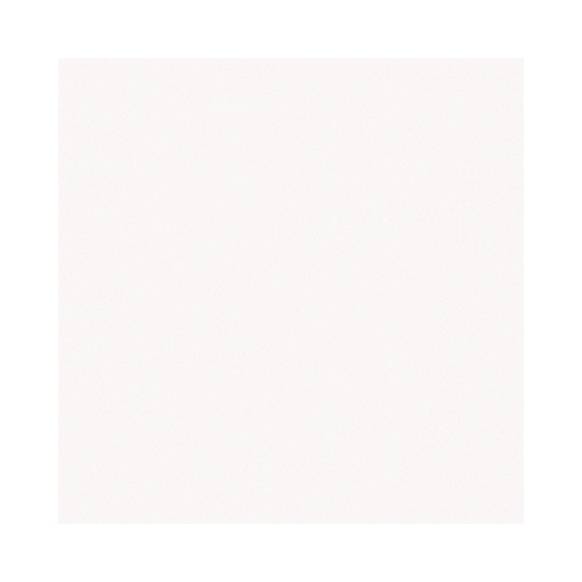 Carreau de ciment Barcelona 25×25