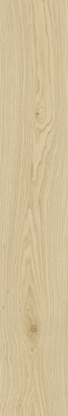 MONTALCINO ROVERE DORATO