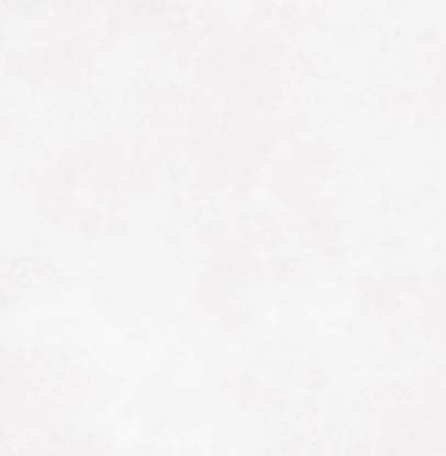 CANON SILVER 30.3X61.3