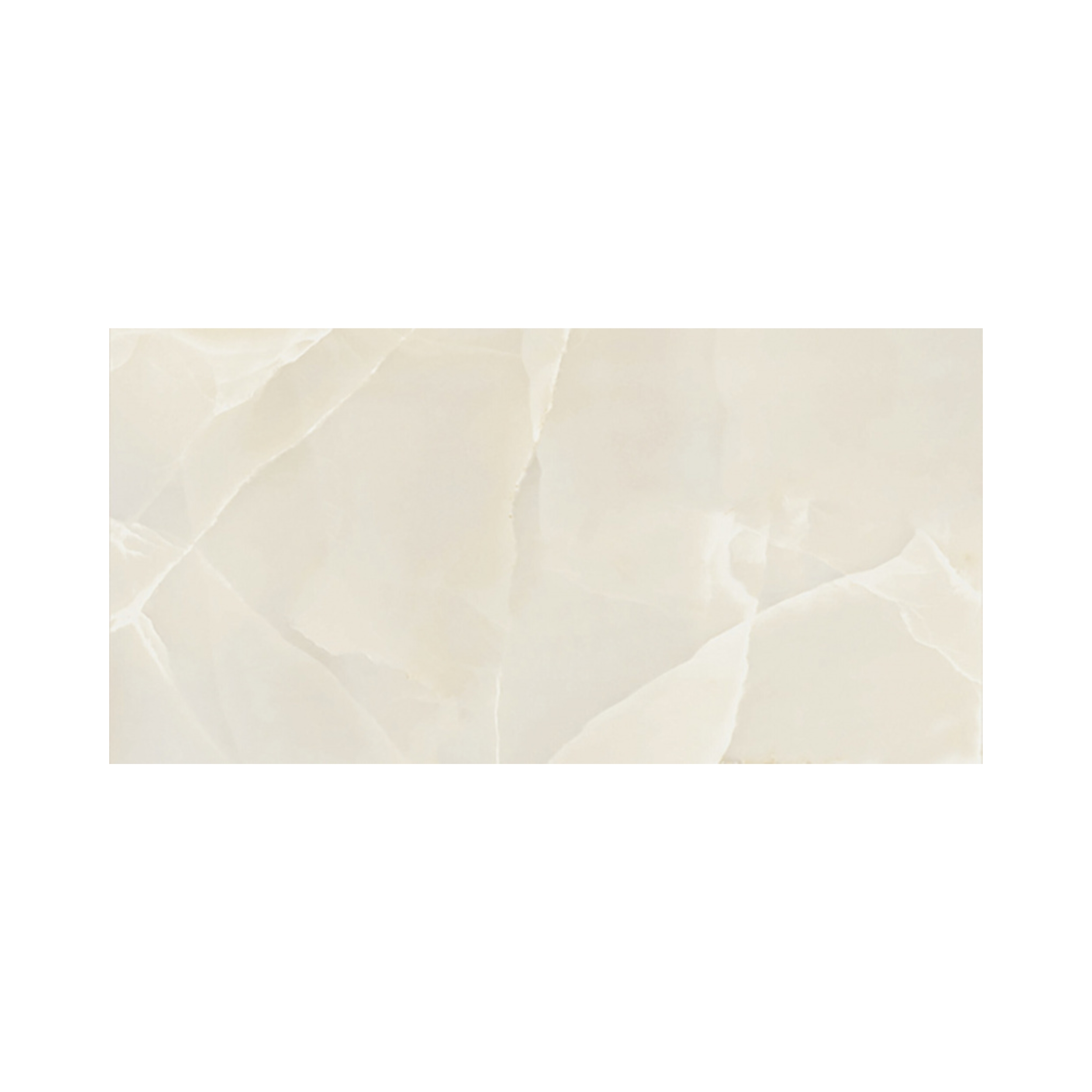 COACHELLA DECOR Paul