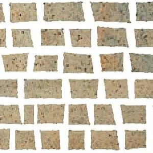 NEWTON NAT LAP White