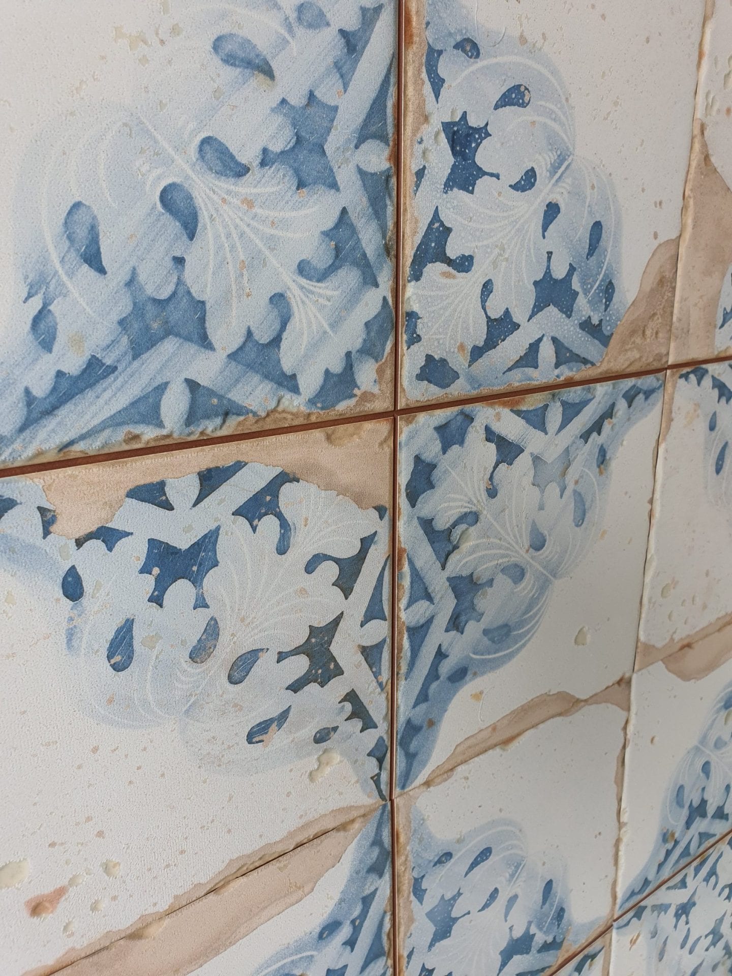 KALKARIA NAT Cinericius