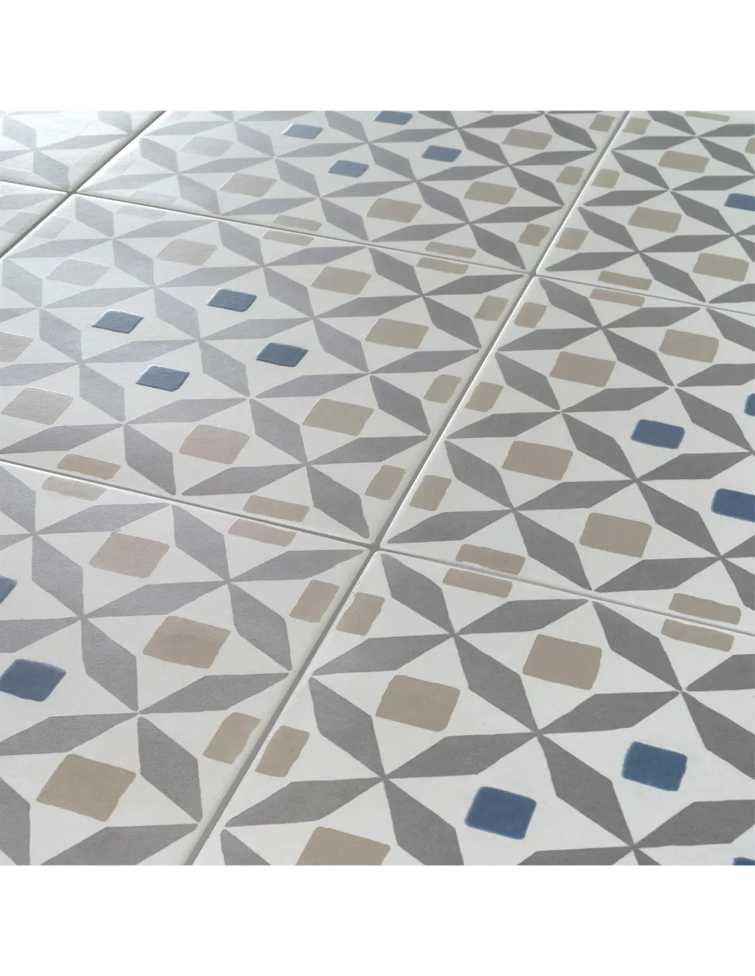 P.E REIMS Vison mate